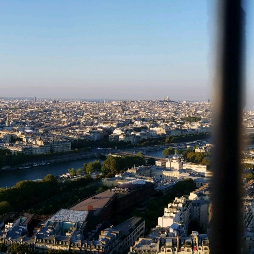 Meet your Posher, Elisa